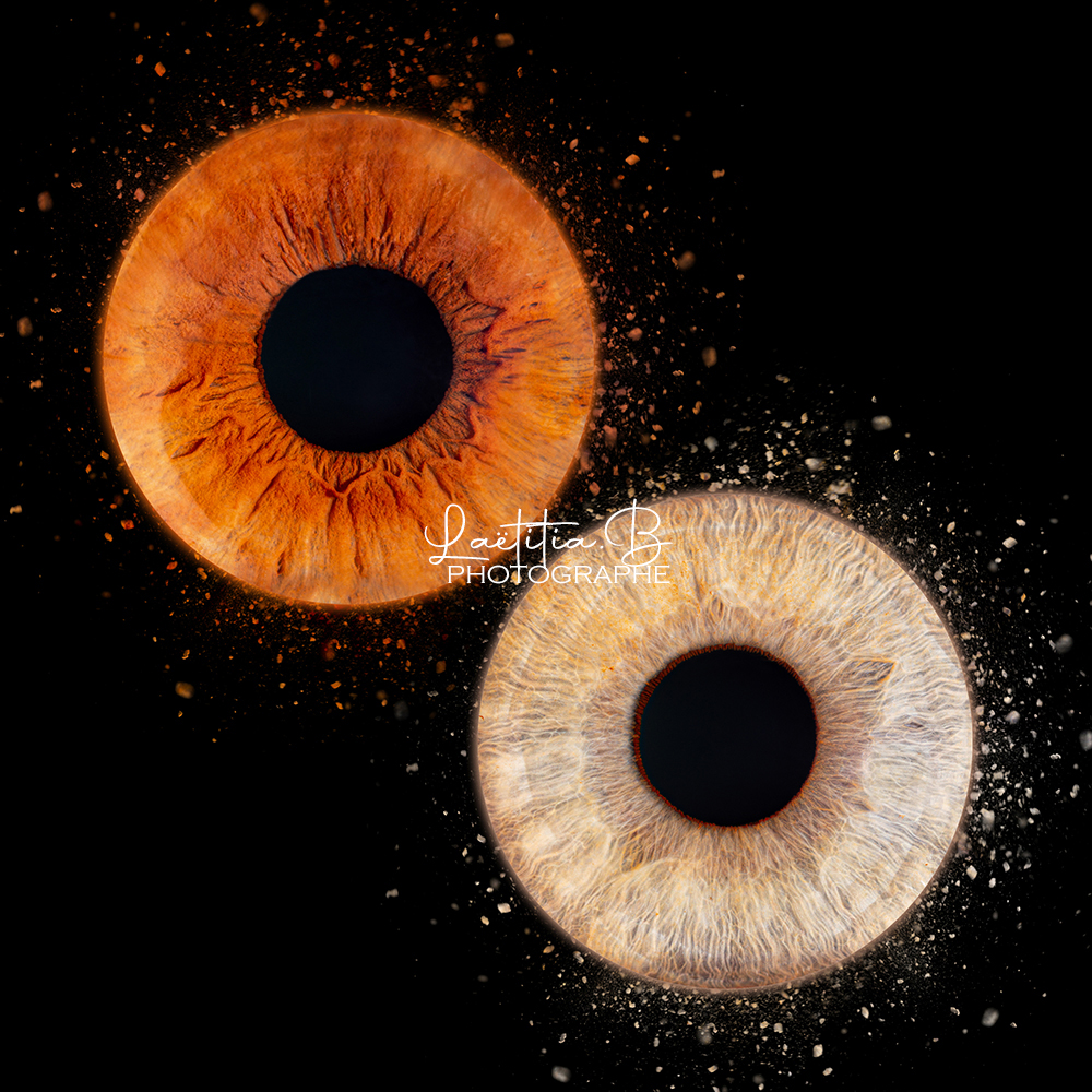 photo iris photographe eure et loir 2026