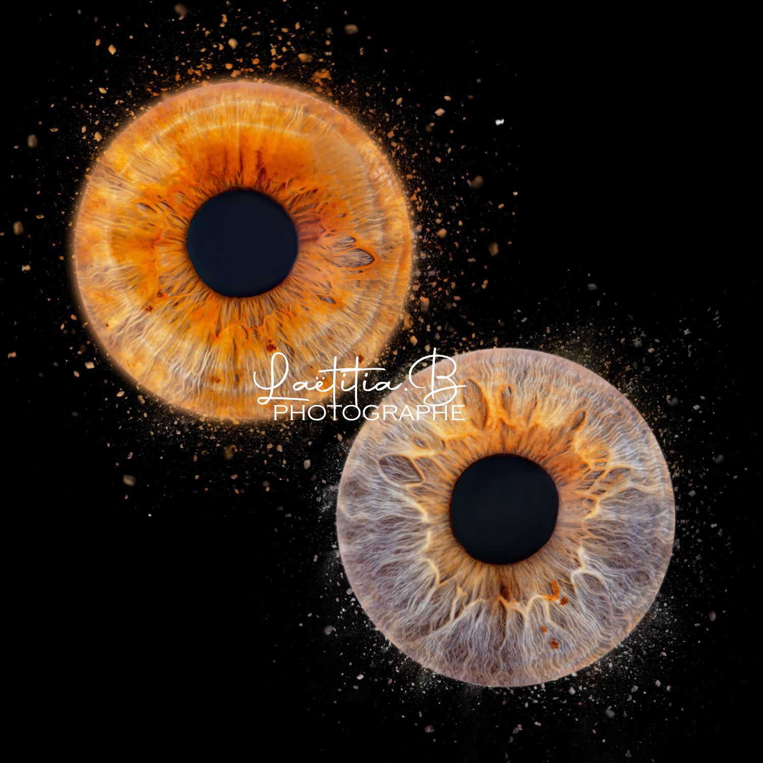 photo iris photographe eure et loir