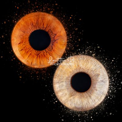 photo iris photographe eure et loir 2026